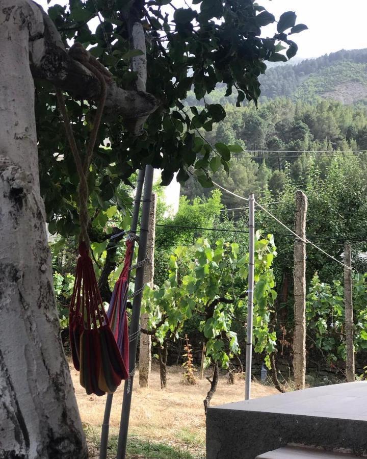 Guesthouse "Shtepia Ime" Permet Luaran gambar